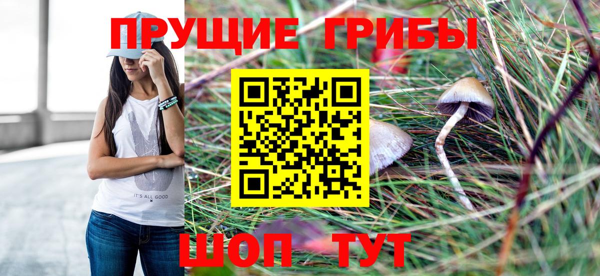 Псилоцибиновые грибы GOLDEN TEACHER Искитим
