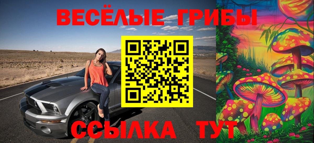Искитим  Псилоцибиновые грибы MAGIC MUSHROOMS  Вход с VPN  Галлюциногенные грибы Magic Shrooms 